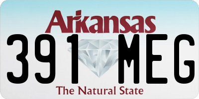 AR license plate 391MEG