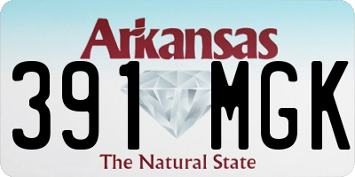 AR license plate 391MGK