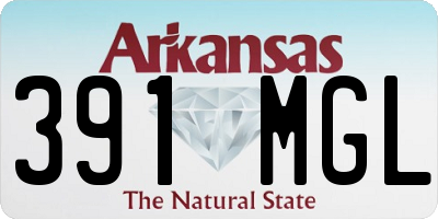 AR license plate 391MGL
