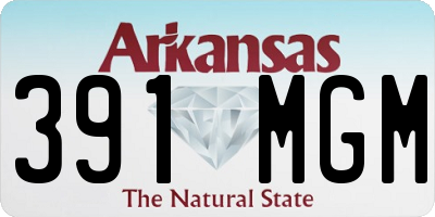 AR license plate 391MGM