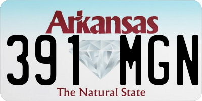 AR license plate 391MGN