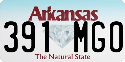 AR license plate 391MGO