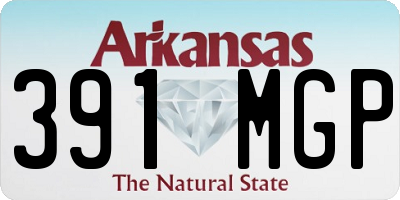 AR license plate 391MGP