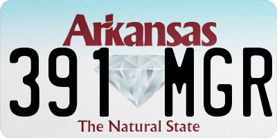 AR license plate 391MGR