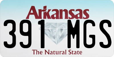 AR license plate 391MGS
