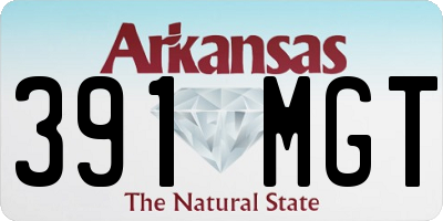 AR license plate 391MGT