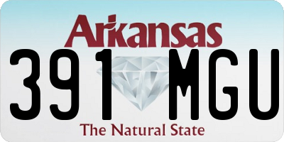 AR license plate 391MGU