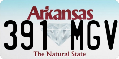 AR license plate 391MGV