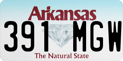 AR license plate 391MGW