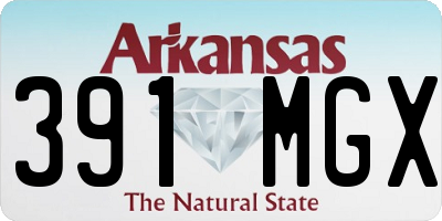 AR license plate 391MGX