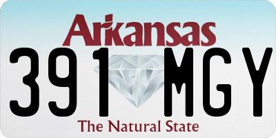 AR license plate 391MGY