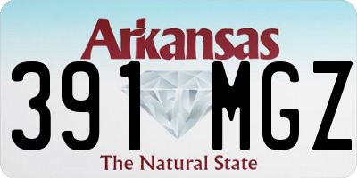 AR license plate 391MGZ