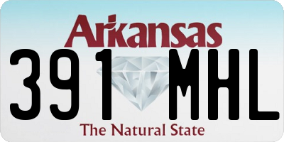 AR license plate 391MHL