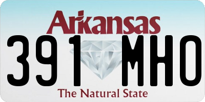 AR license plate 391MHO