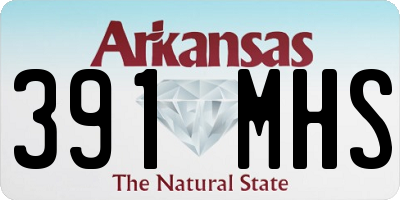 AR license plate 391MHS