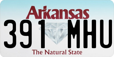 AR license plate 391MHU