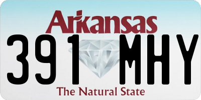 AR license plate 391MHY