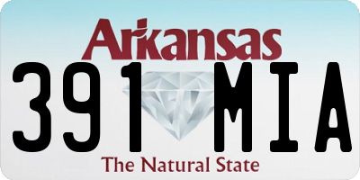 AR license plate 391MIA