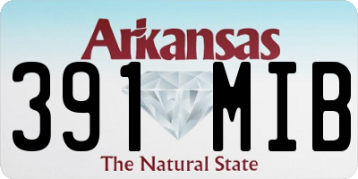 AR license plate 391MIB