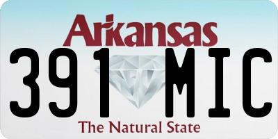 AR license plate 391MIC