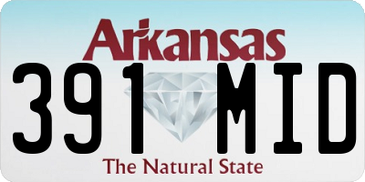 AR license plate 391MID