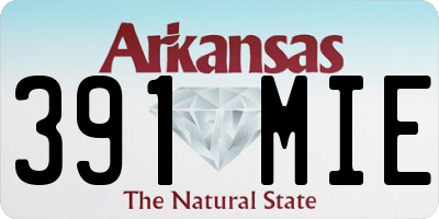 AR license plate 391MIE