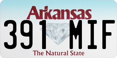 AR license plate 391MIF