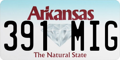 AR license plate 391MIG