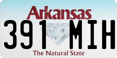 AR license plate 391MIH