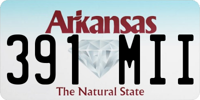 AR license plate 391MII