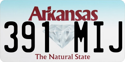 AR license plate 391MIJ