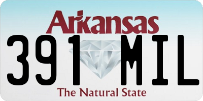 AR license plate 391MIL