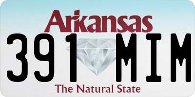 AR license plate 391MIM