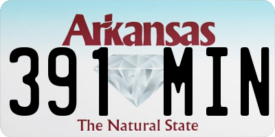AR license plate 391MIN