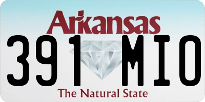 AR license plate 391MIO