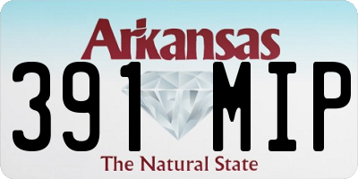 AR license plate 391MIP