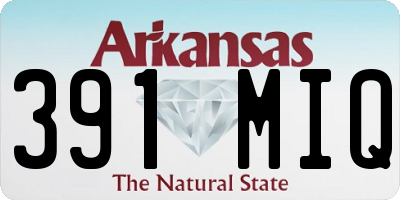 AR license plate 391MIQ