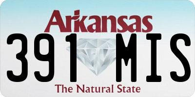 AR license plate 391MIS