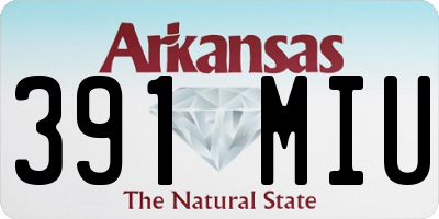 AR license plate 391MIU