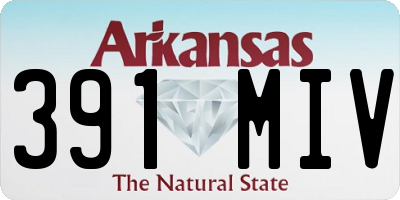 AR license plate 391MIV