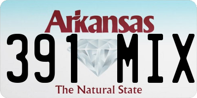 AR license plate 391MIX