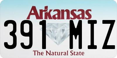 AR license plate 391MIZ