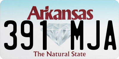 AR license plate 391MJA