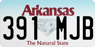 AR license plate 391MJB