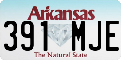 AR license plate 391MJE