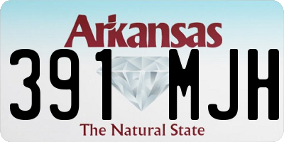 AR license plate 391MJH