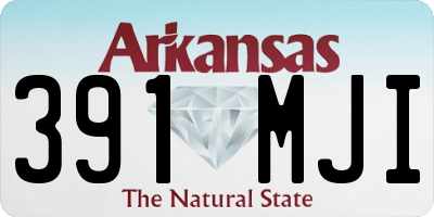AR license plate 391MJI