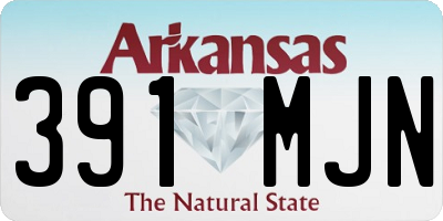 AR license plate 391MJN