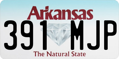 AR license plate 391MJP