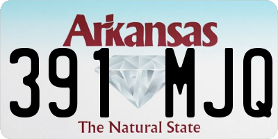 AR license plate 391MJQ